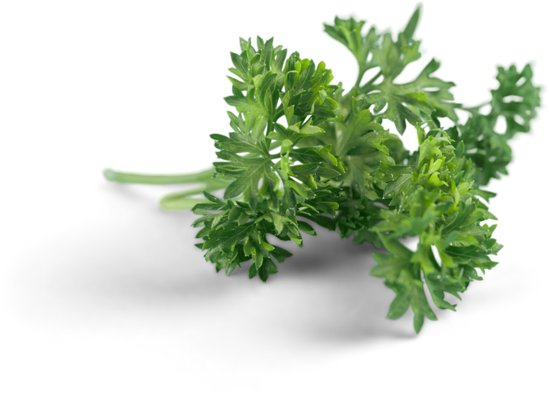 Parsley